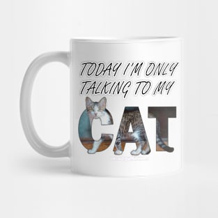 Today I'm only talking to my cat - gray and white tabby cat oil painting word art Mug